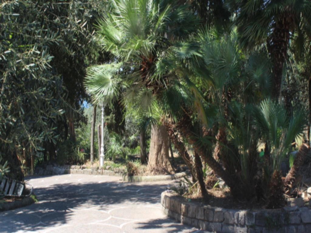 Faraglioni Di Sorrento Guesthouse Chambre photo