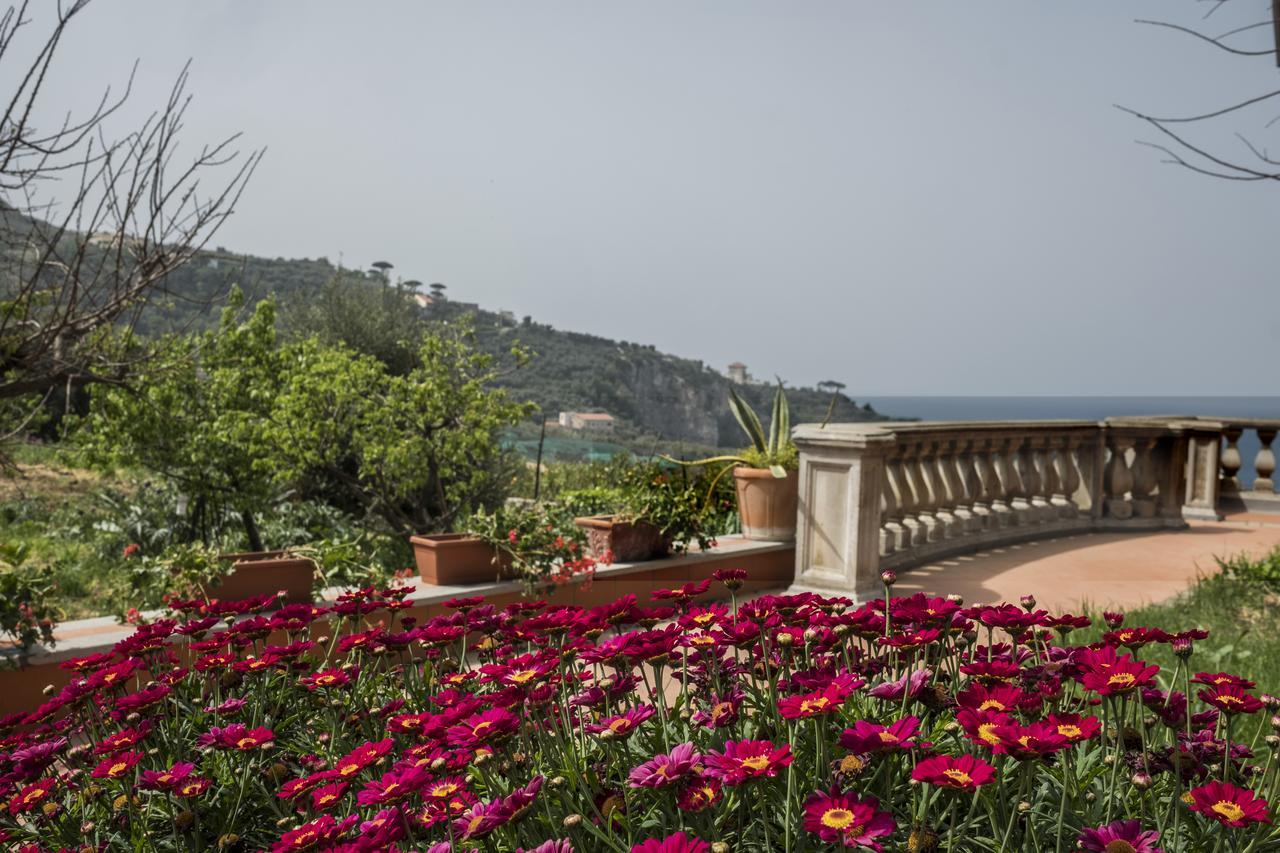 Faraglioni Di Sorrento Guesthouse Extérieur photo